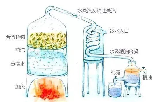 芳香療法，一個(gè)起源于5000年前的神秘學(xué)科