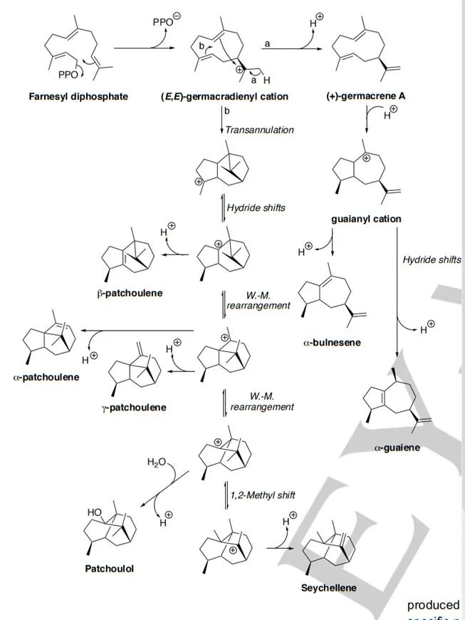 生物合成香料的化學組成、可持續(xù)性和天然性
