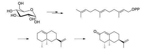 生物合成香料的化學(xué)組成、可持續(xù)性和天然性