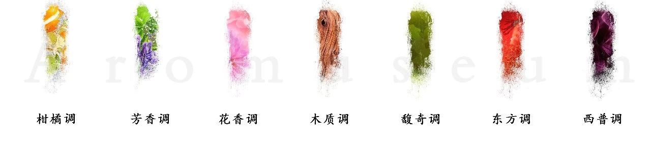 為什么有人一身果香，有人卻一身藿香？