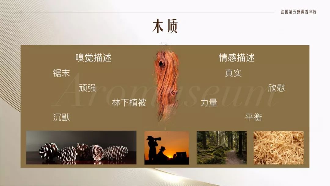 為什么有人一身果香，有人卻一身藿香？