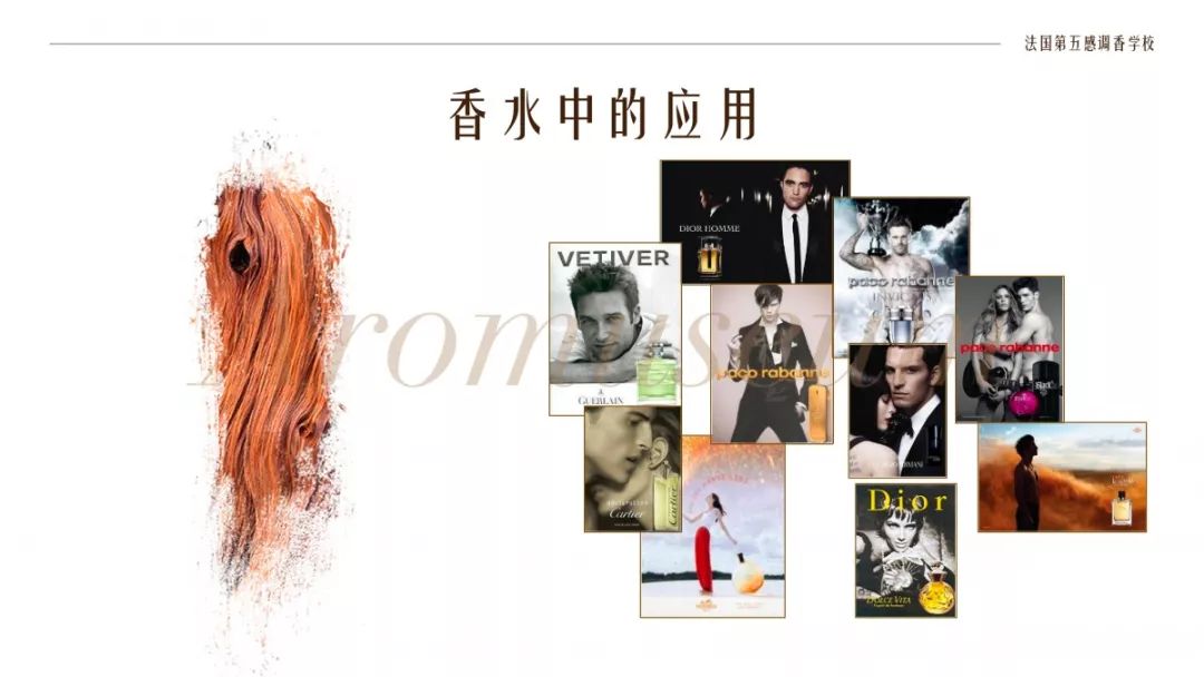 為什么有人一身果香，有人卻一身藿香？